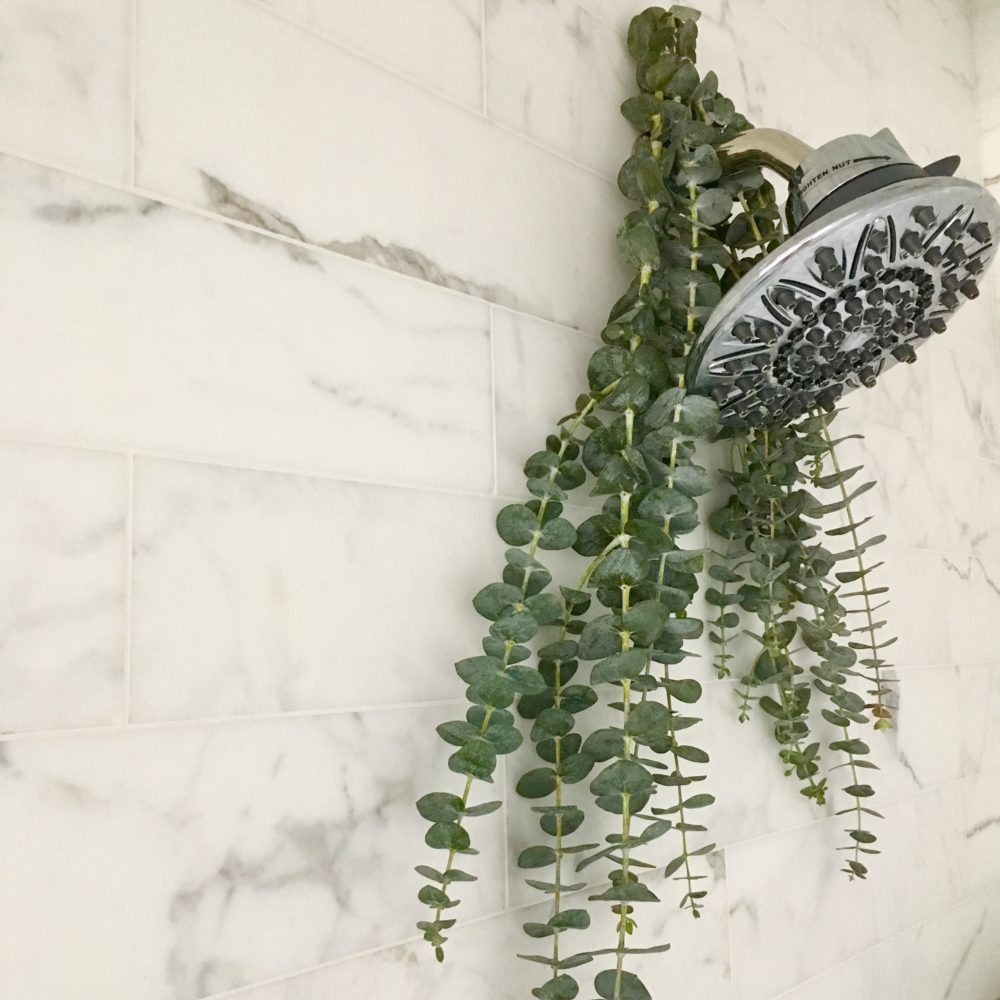 Eucalyptus Shower Emma Heming Willis