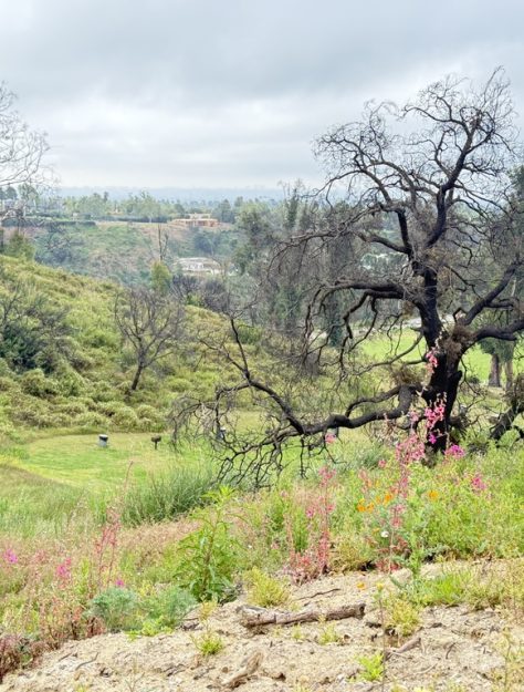 When Pain Begins to Move