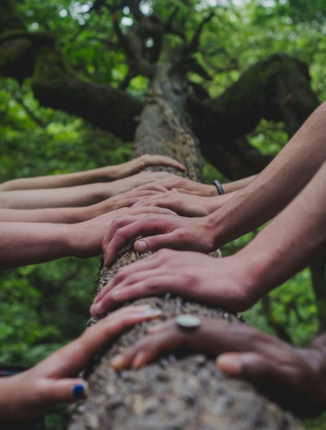 How to Publicly Advocate for a Caregiver on Their Behalf